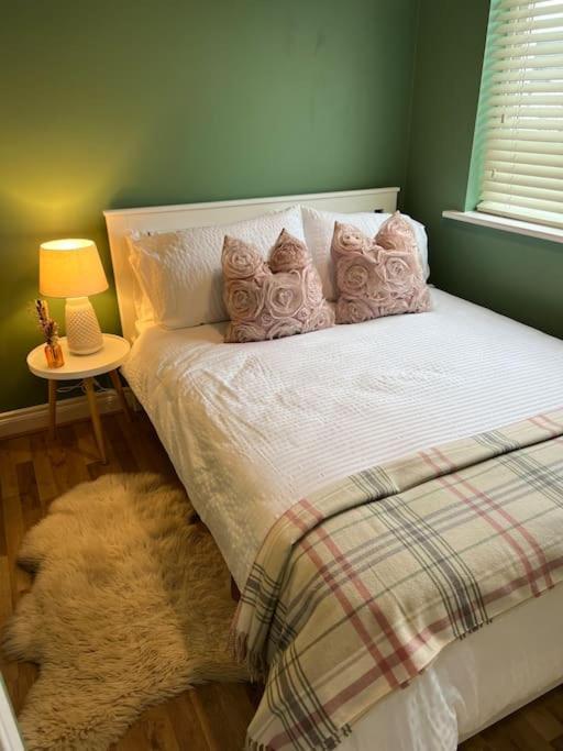 Cosy 2 Double Bed Apartment Swords Eksteriør billede